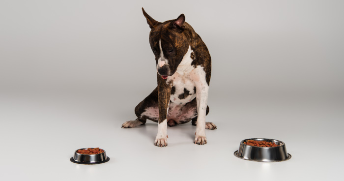 Poor Nutrition and Imbalanced Diet