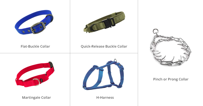 Types of Dogs Collars