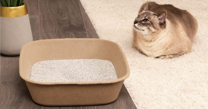 Disposable Litter Boxes