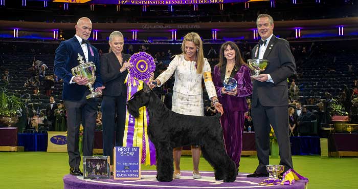 Westminster Kennel Club Dog Show, USA