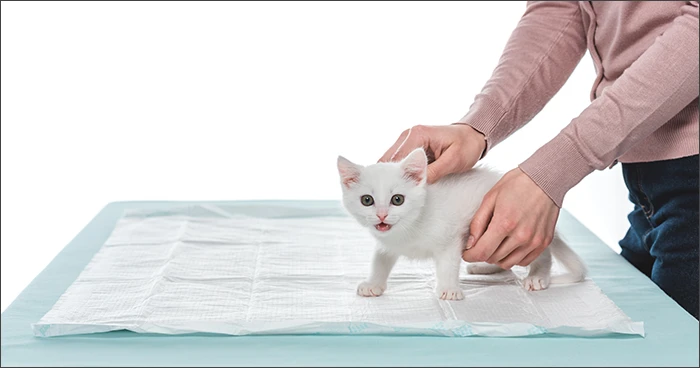 Absorbent Mats