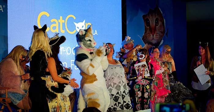 CatCon, USA