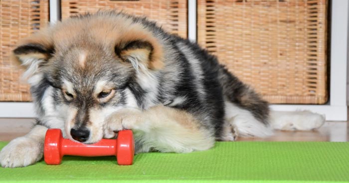 Lack of Regular Exercise