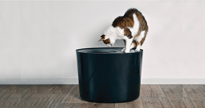 Top-Entry Litter Boxes 