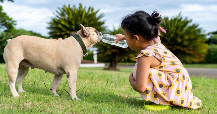 Pets Encourage Responsibility & Reliability 