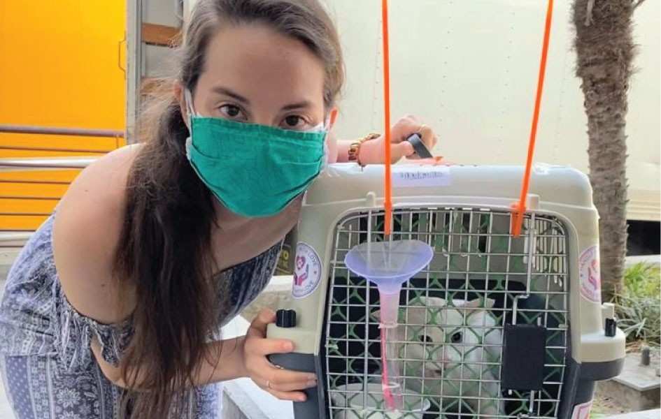 Best-International-Pet-Relocation-Servic
