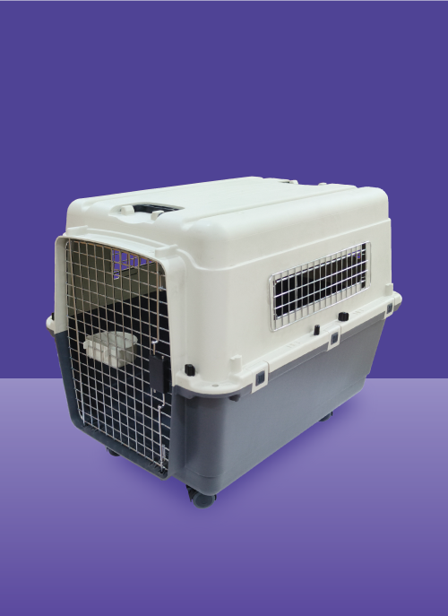 IATA Pet Crate Standard - Pet Travel