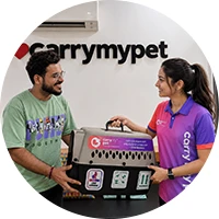 Pet-Transfer