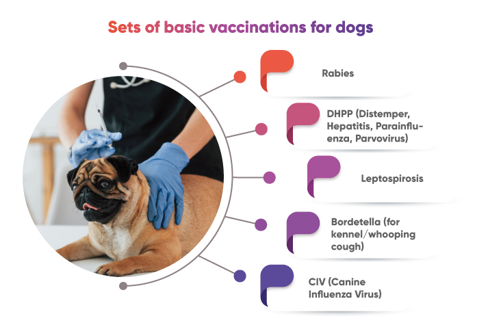 Sets-of-basic-vaccinations-for-dogs (1)